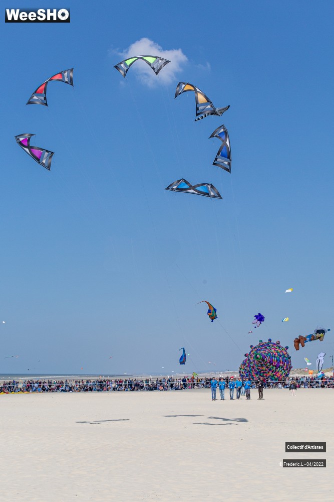 15/100 photos du spectacle 35ème Rencontres Internationales de Cerfs-Volants