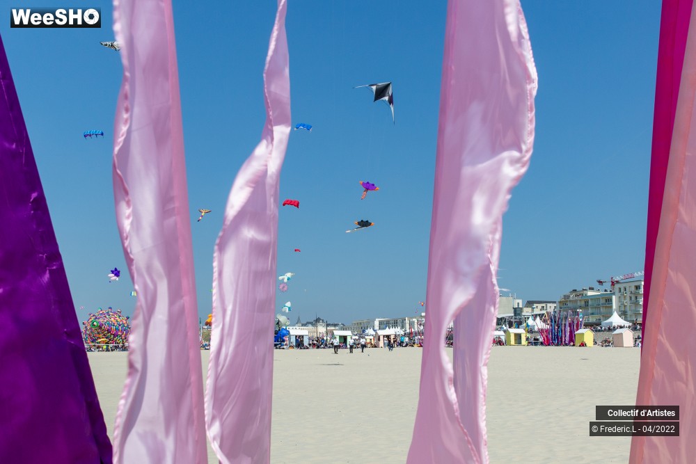 16/100 photos du spectacle 35ème Rencontres Internationales de Cerfs-Volants