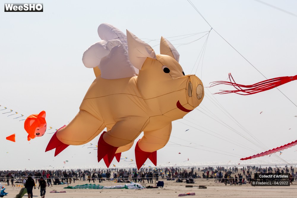 17/100 photos du spectacle 35ème Rencontres Internationales de Cerfs-Volants
