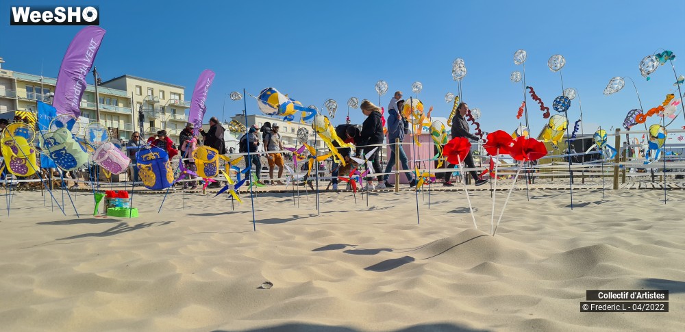 23/100 photos du spectacle 35ème Rencontres Internationales de Cerfs-Volants