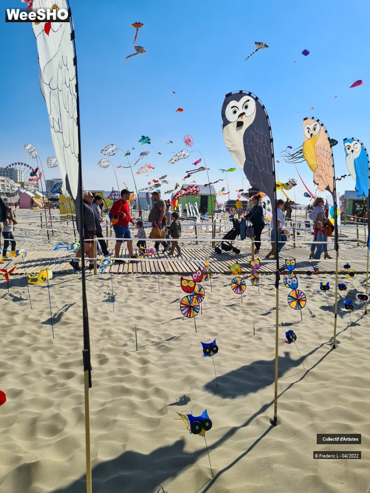 24/100 photos du spectacle 35ème Rencontres Internationales de Cerfs-Volants