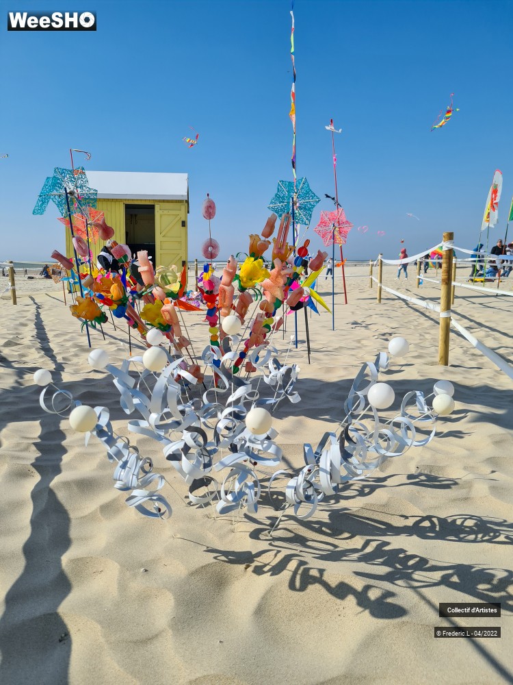 26/100 photos du spectacle 35ème Rencontres Internationales de Cerfs-Volants