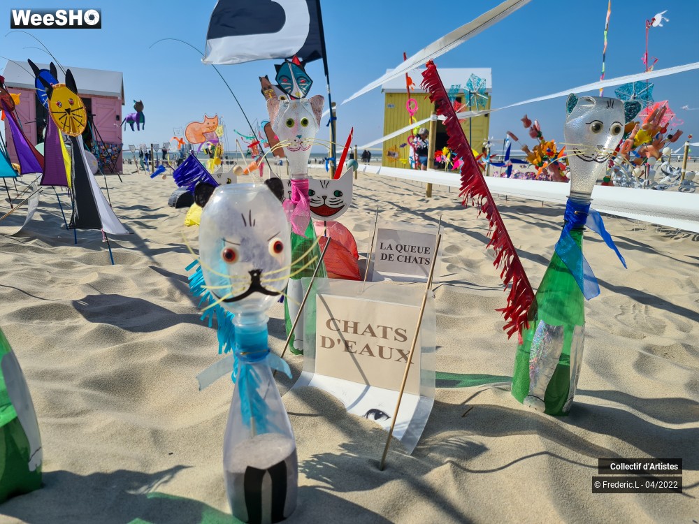 27/100 photos du spectacle 35ème Rencontres Internationales de Cerfs-Volants