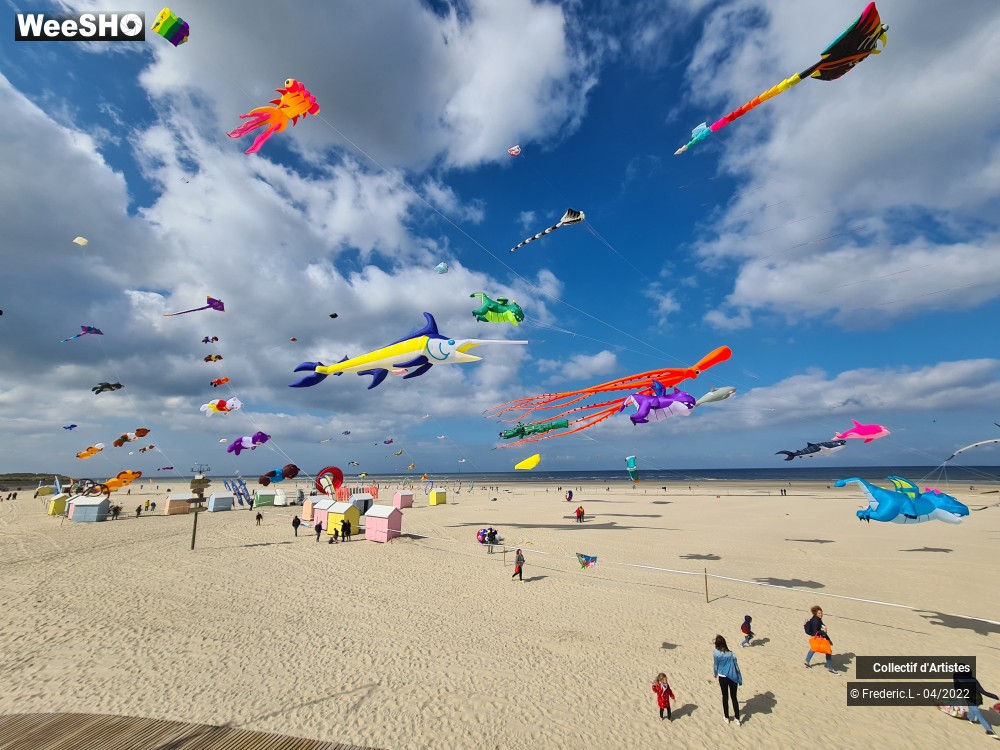 29/100 photos du spectacle 35ème Rencontres Internationales de Cerfs-Volants