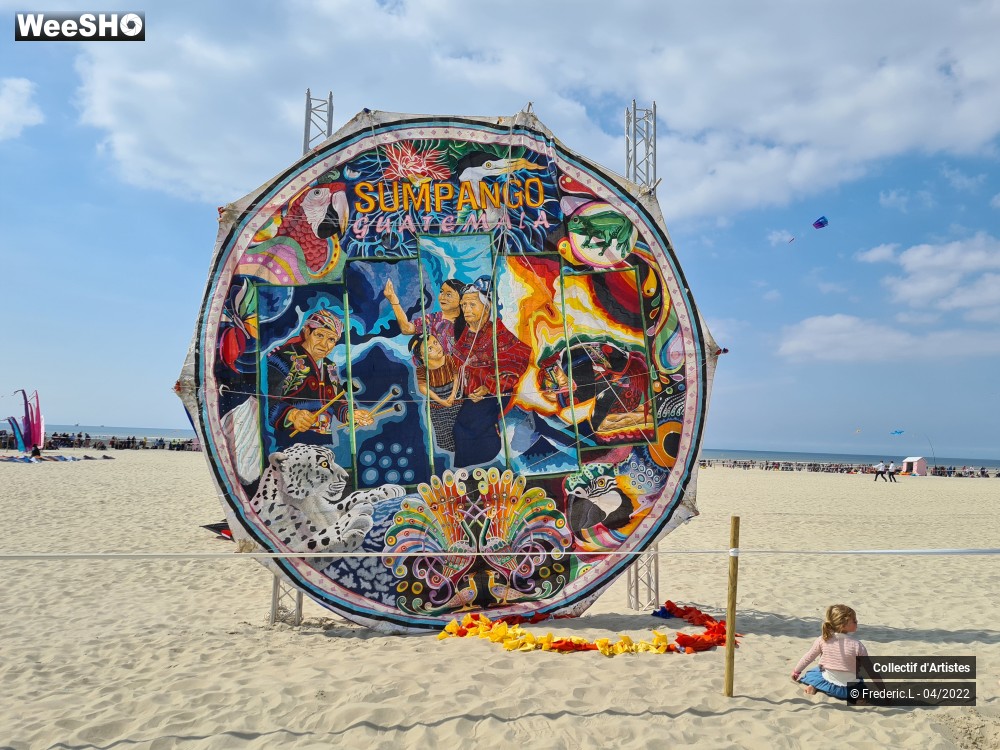 31/100 photos du spectacle 35ème Rencontres Internationales de Cerfs-Volants