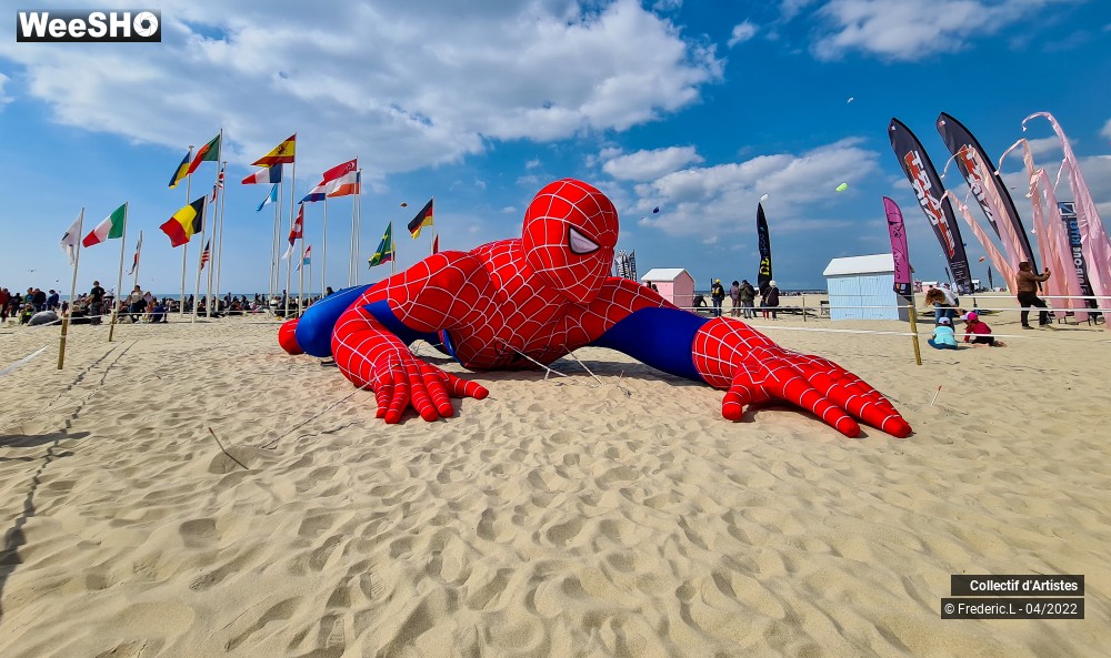 34/100 photos du spectacle 35ème Rencontres Internationales de Cerfs-Volants