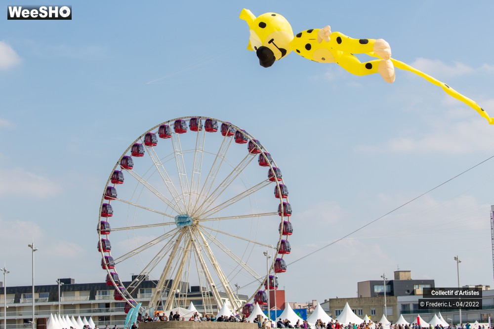 35/100 photos du spectacle 35ème Rencontres Internationales de Cerfs-Volants