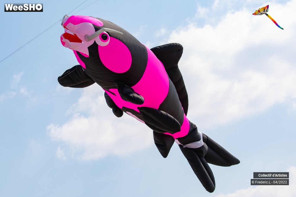 36/100 photos du spectacle 35ème Rencontres Internationales de Cerfs-Volants