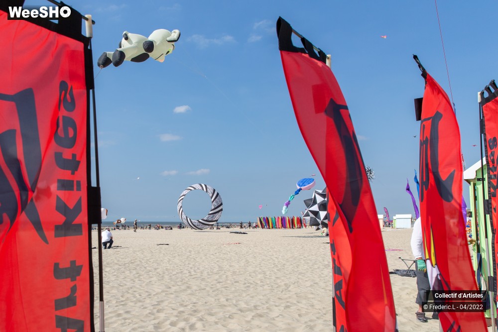 40/100 photos du spectacle 35ème Rencontres Internationales de Cerfs-Volants