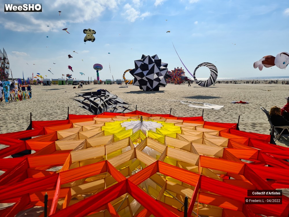 41/100 photos du spectacle 35ème Rencontres Internationales de Cerfs-Volants