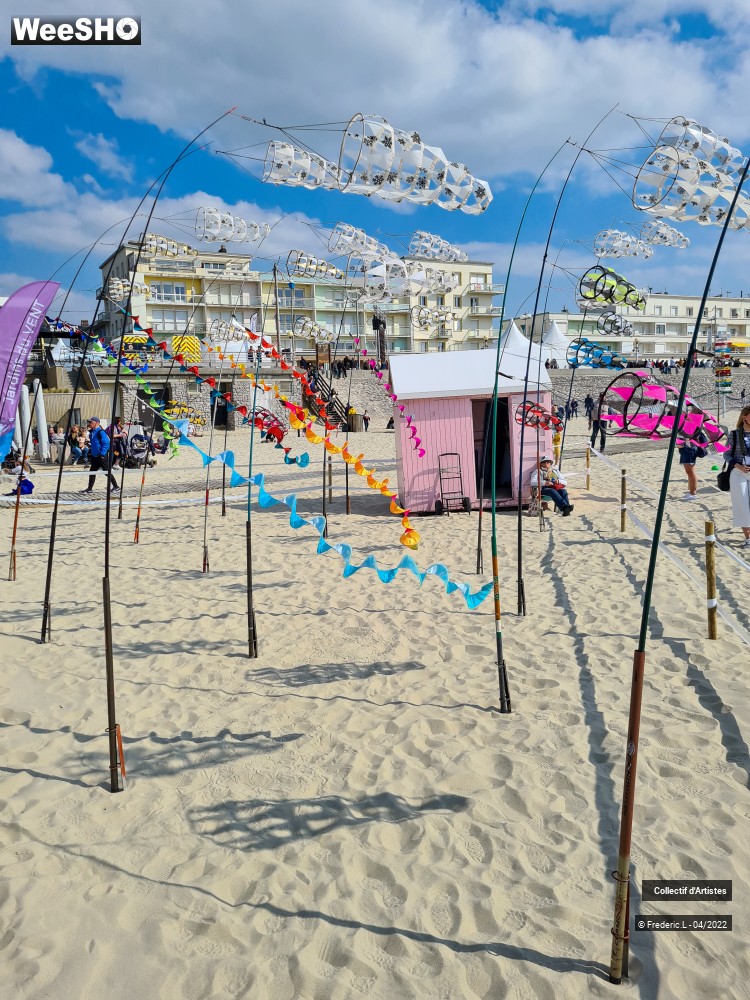 42/100 photos du spectacle 35ème Rencontres Internationales de Cerfs-Volants