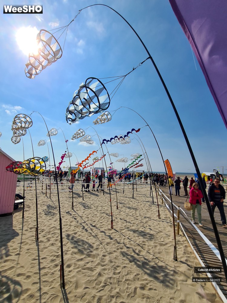 43/100 photos du spectacle 35ème Rencontres Internationales de Cerfs-Volants