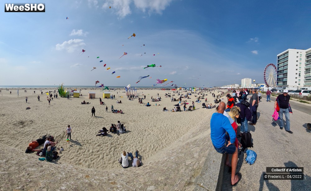 49/100 photos du spectacle 35ème Rencontres Internationales de Cerfs-Volants