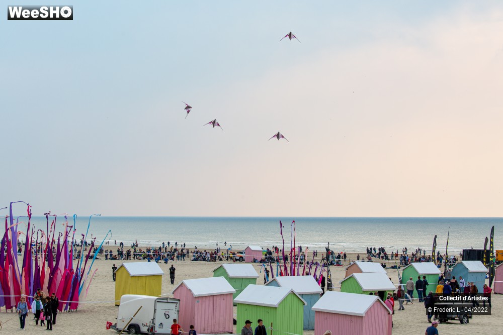 52/100 photos du spectacle 35ème Rencontres Internationales de Cerfs-Volants