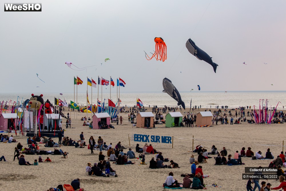 53/100 photos du spectacle 35ème Rencontres Internationales de Cerfs-Volants