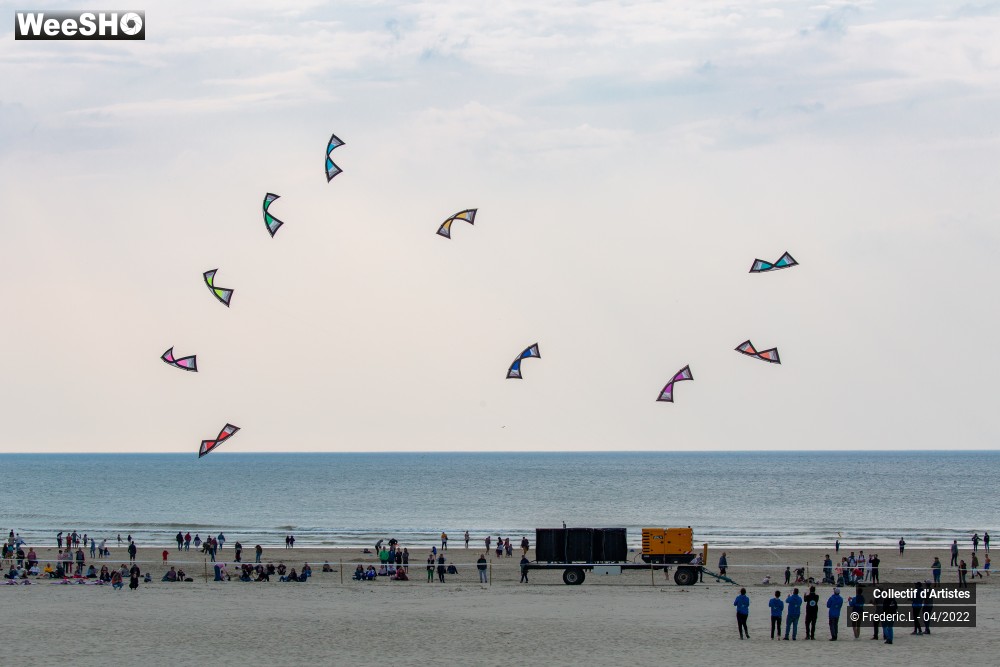 55/100 photos du spectacle 35ème Rencontres Internationales de Cerfs-Volants