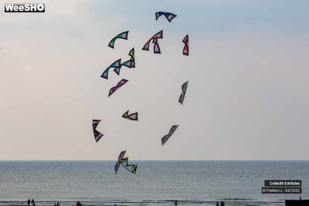 59/100 photos du spectacle 35ème Rencontres Internationales de Cerfs-Volants