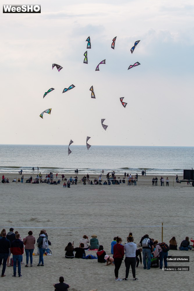 60/100 photos du spectacle 35ème Rencontres Internationales de Cerfs-Volants