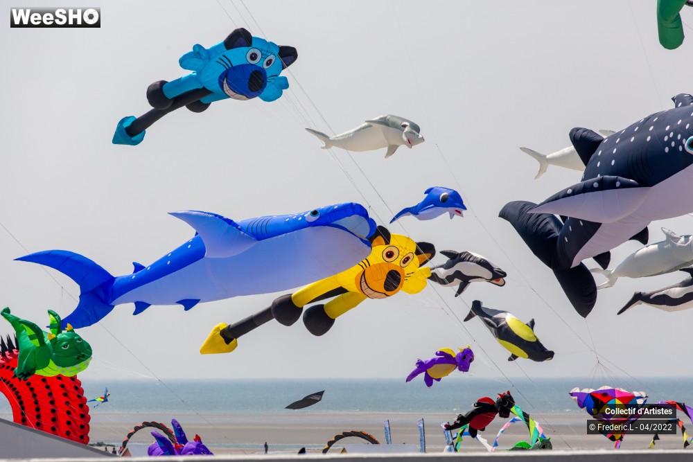 63/100 photos du spectacle 35ème Rencontres Internationales de Cerfs-Volants