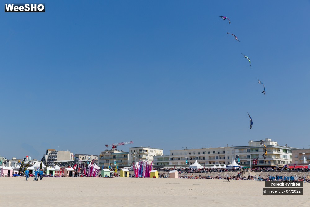 68/100 photos du spectacle 35ème Rencontres Internationales de Cerfs-Volants