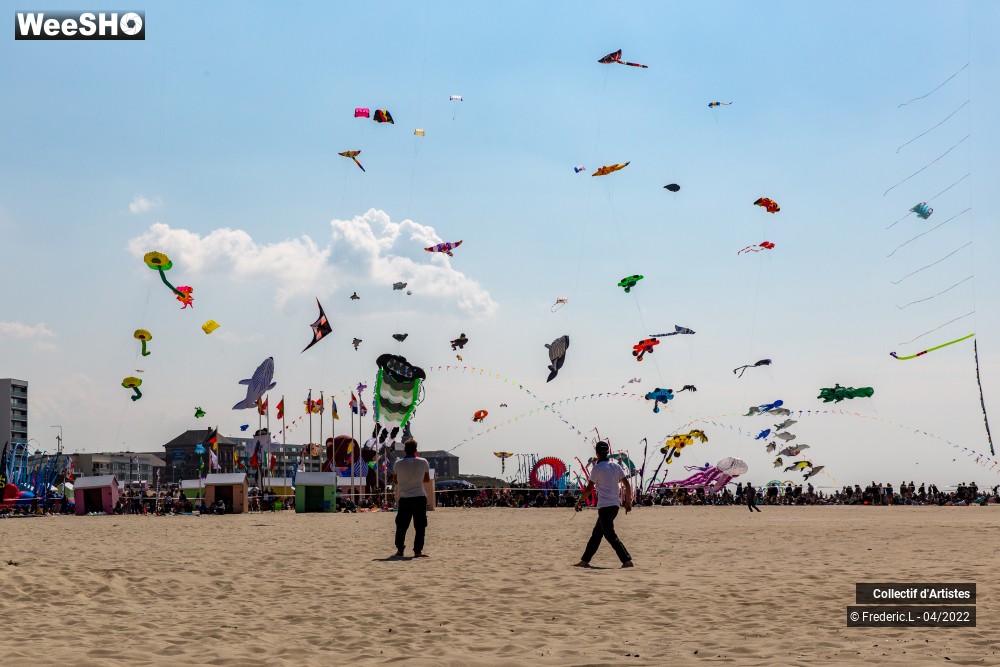 70/100 photos du spectacle 35ème Rencontres Internationales de Cerfs-Volants