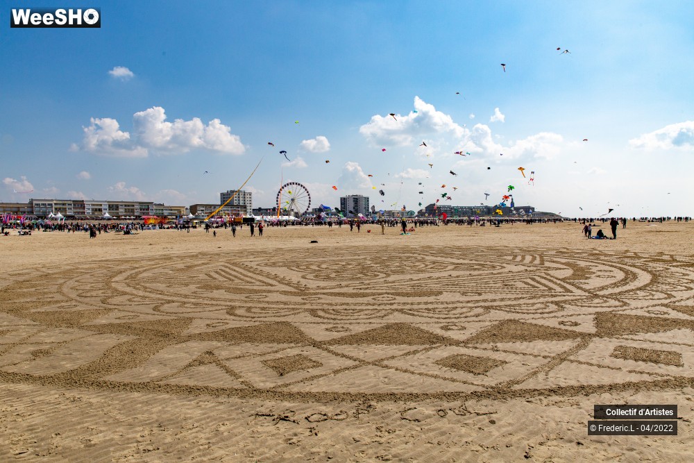 71/100 photos du spectacle 35ème Rencontres Internationales de Cerfs-Volants