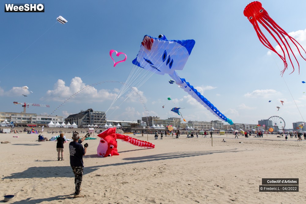 74/100 photos du spectacle 35ème Rencontres Internationales de Cerfs-Volants