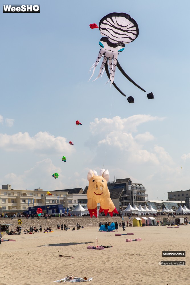 75/100 photos du spectacle 35ème Rencontres Internationales de Cerfs-Volants