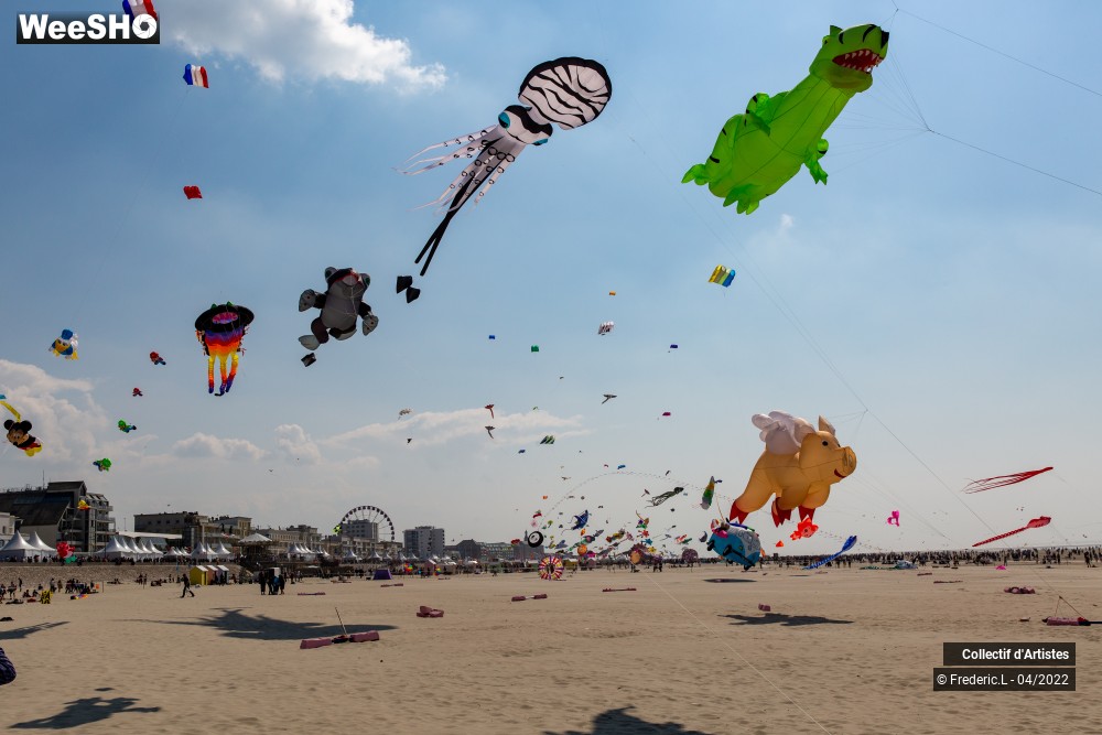 76/100 photos du spectacle 35ème Rencontres Internationales de Cerfs-Volants