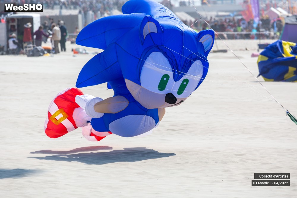 77/100 photos du spectacle 35ème Rencontres Internationales de Cerfs-Volants