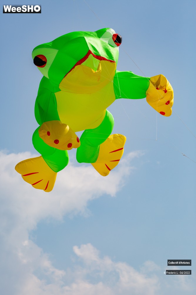 78/100 photos du spectacle 35ème Rencontres Internationales de Cerfs-Volants