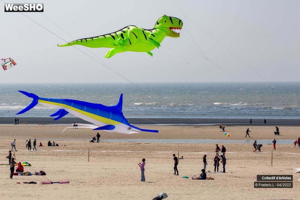 79/100 photos du spectacle 35ème Rencontres Internationales de Cerfs-Volants