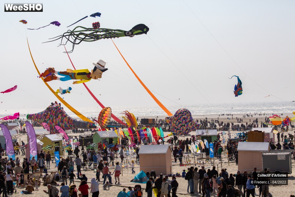 80/100 photos du spectacle 35ème Rencontres Internationales de Cerfs-Volants