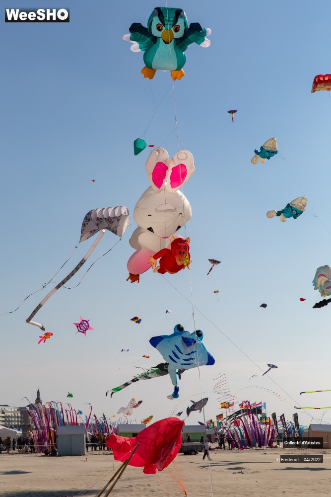 81/100 photos du spectacle 35ème Rencontres Internationales de Cerfs-Volants