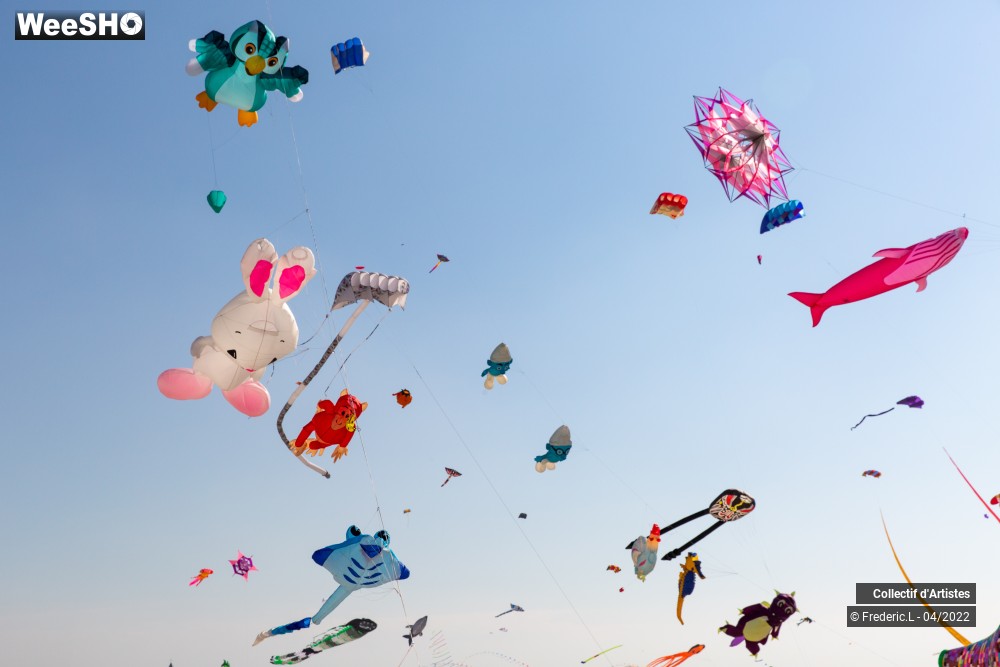 82/100 photos du spectacle 35ème Rencontres Internationales de Cerfs-Volants