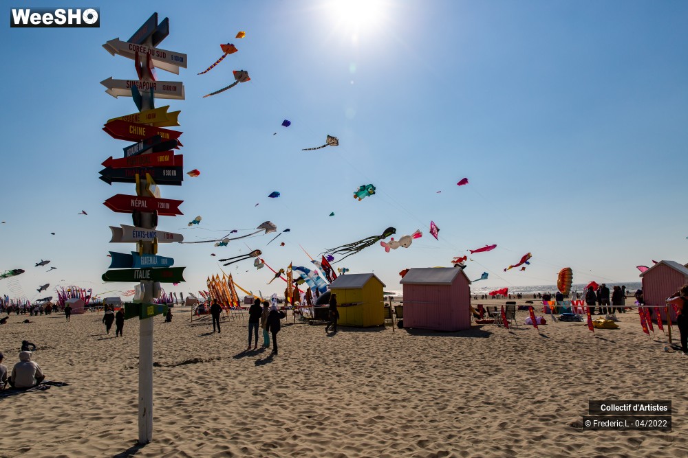 84/100 photos du spectacle 35ème Rencontres Internationales de Cerfs-Volants