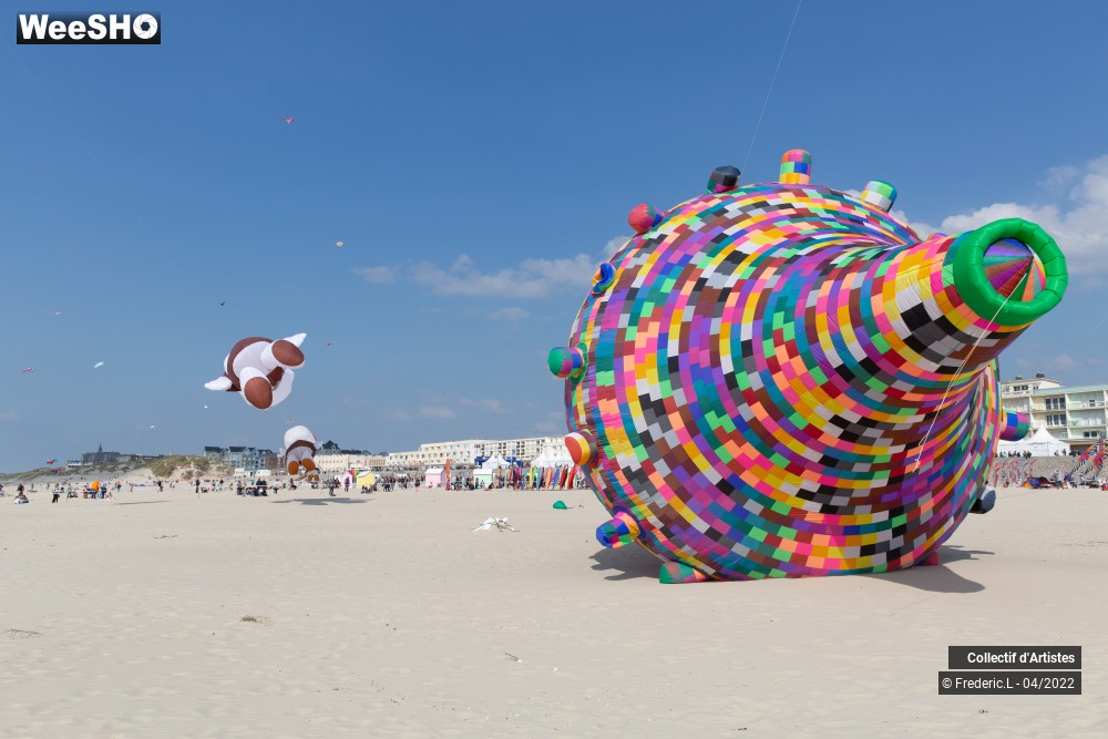 89/100 photos du spectacle 35ème Rencontres Internationales de Cerfs-Volants