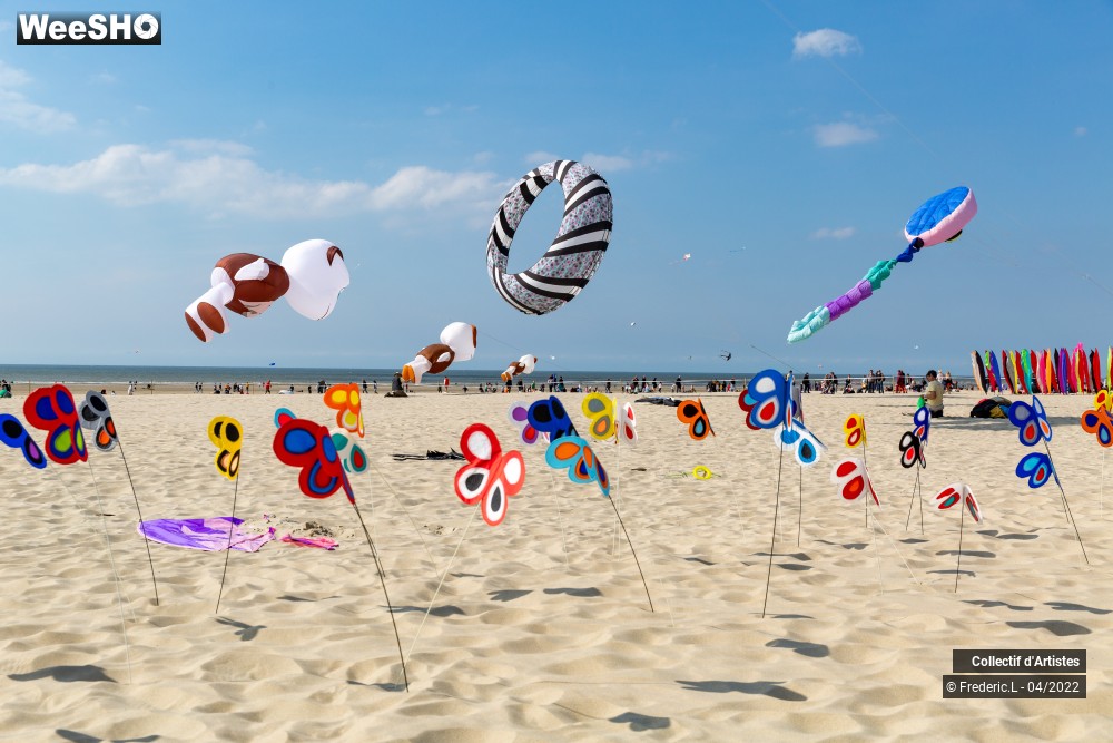 90/100 photos du spectacle 35ème Rencontres Internationales de Cerfs-Volants