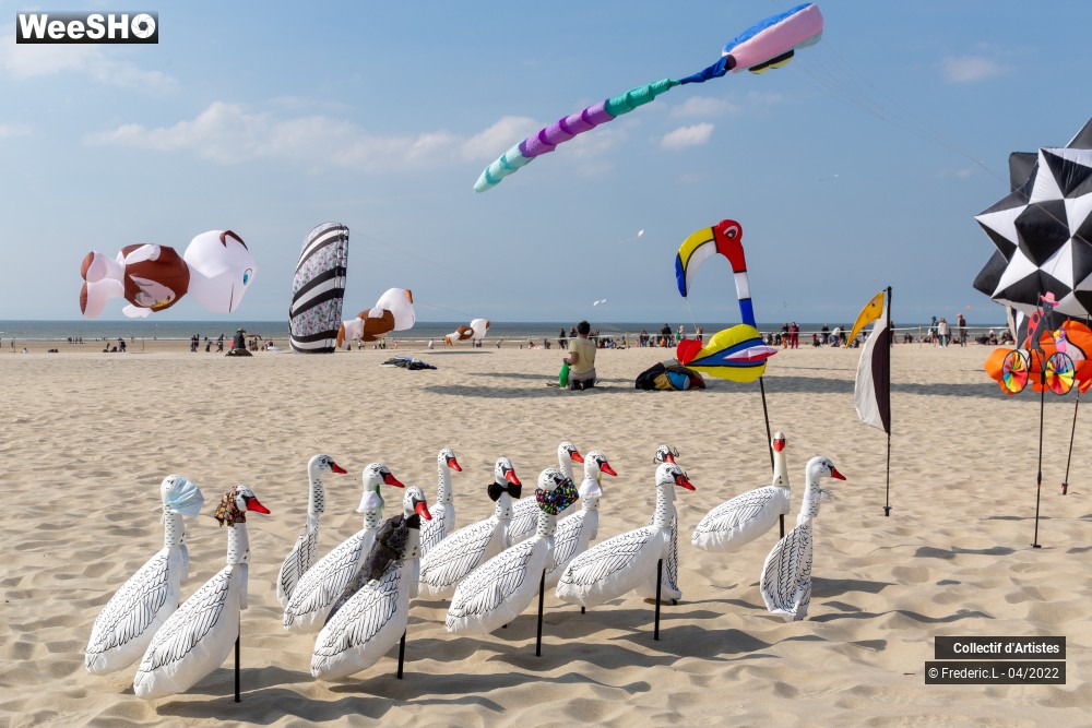 91/100 photos du spectacle 35ème Rencontres Internationales de Cerfs-Volants