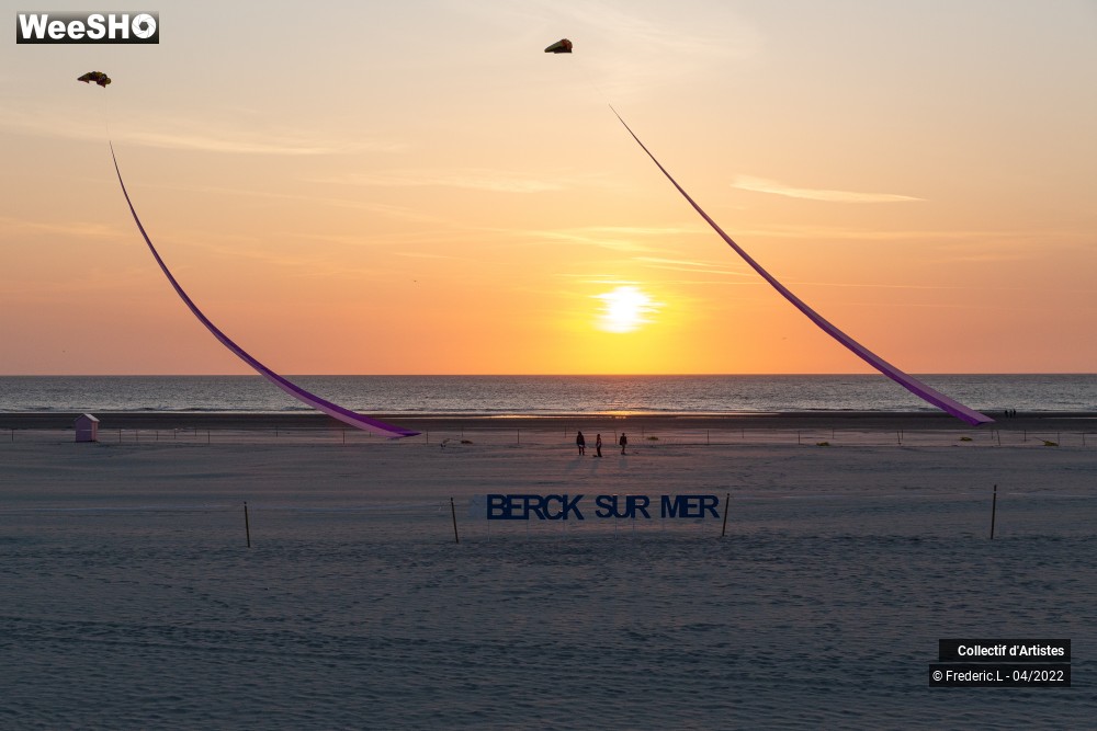 100/100 photos du spectacle 35ème Rencontres Internationales de Cerfs-Volants