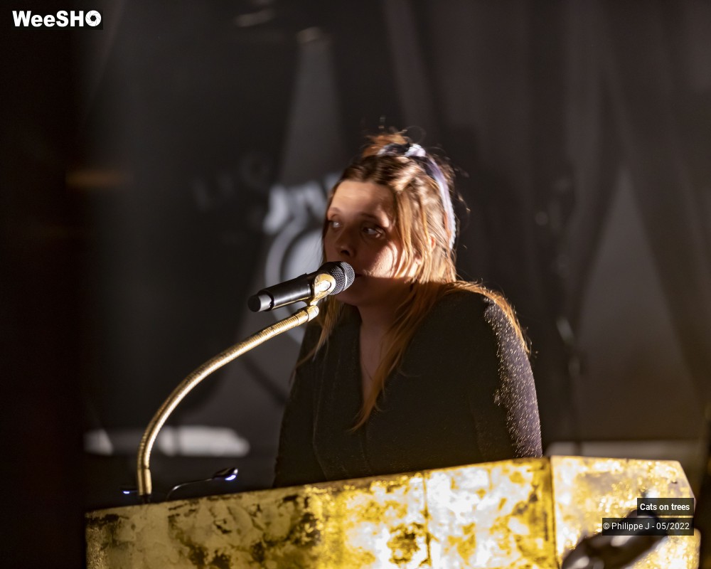 1/33 photos du spectacle Cats on trees