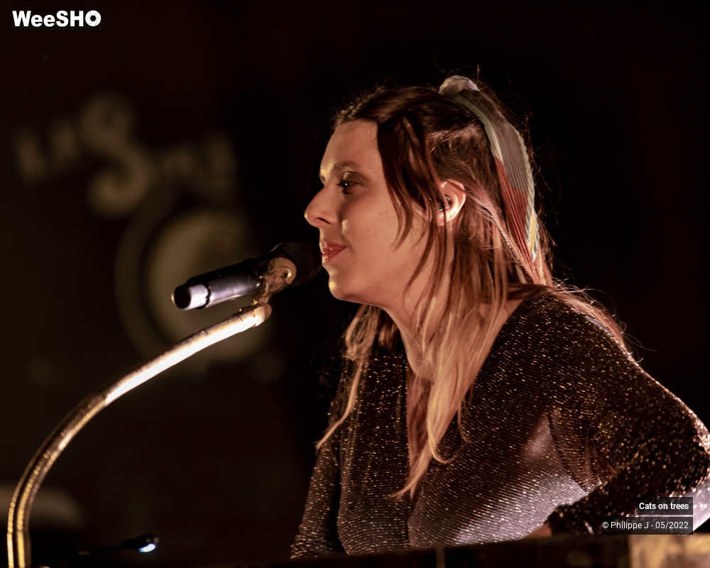 2/33 photos du spectacle Cats on trees