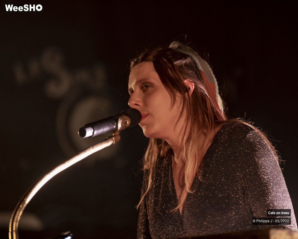 3/33 photos du spectacle Cats on trees