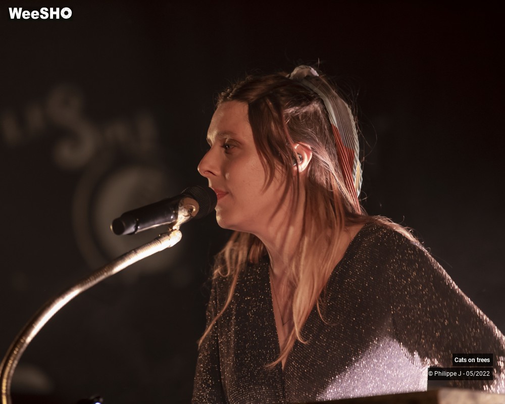 4/33 photos du spectacle Cats on trees