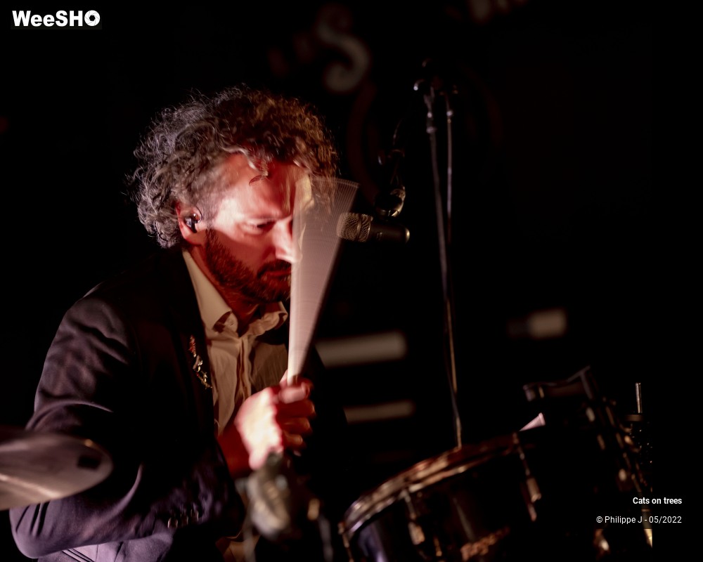 5/33 photos du spectacle Cats on trees