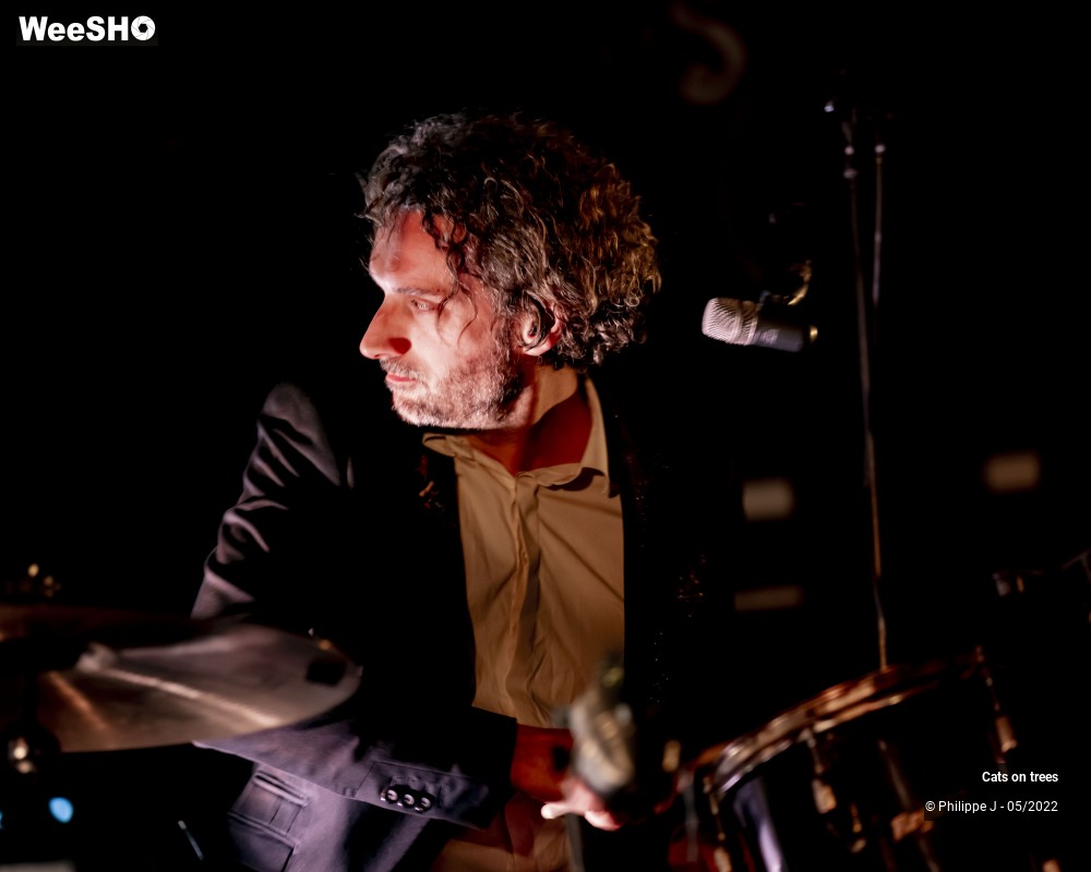 6/33 photos du spectacle Cats on trees