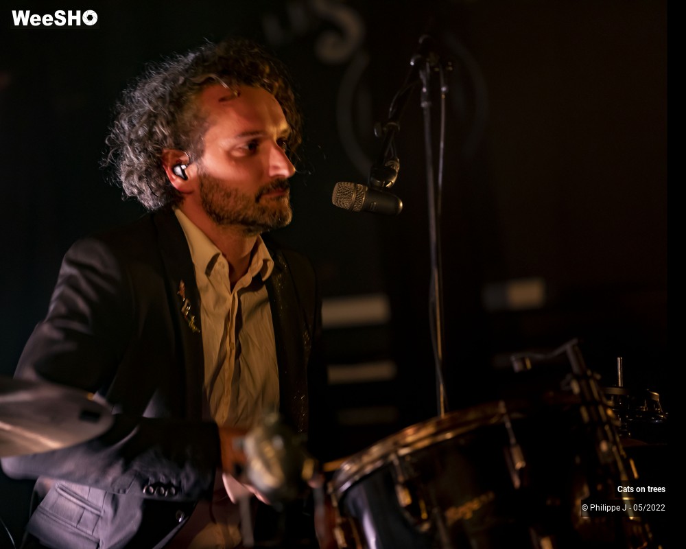 7/33 photos du spectacle Cats on trees