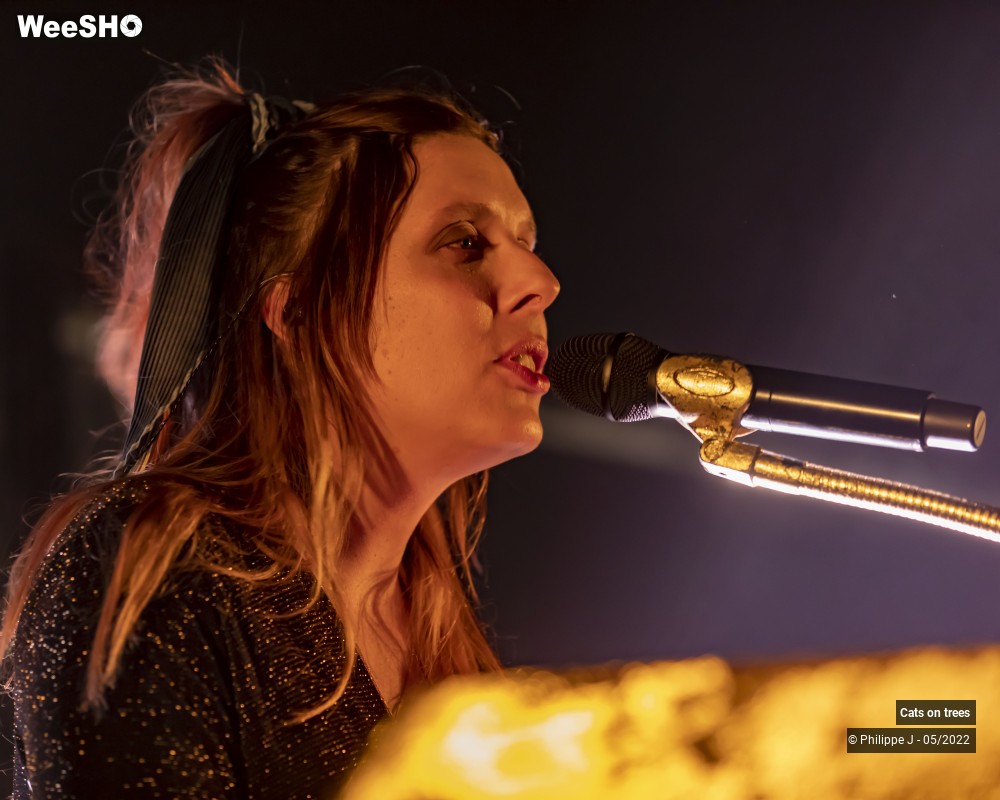 8/33 photos du spectacle Cats on trees