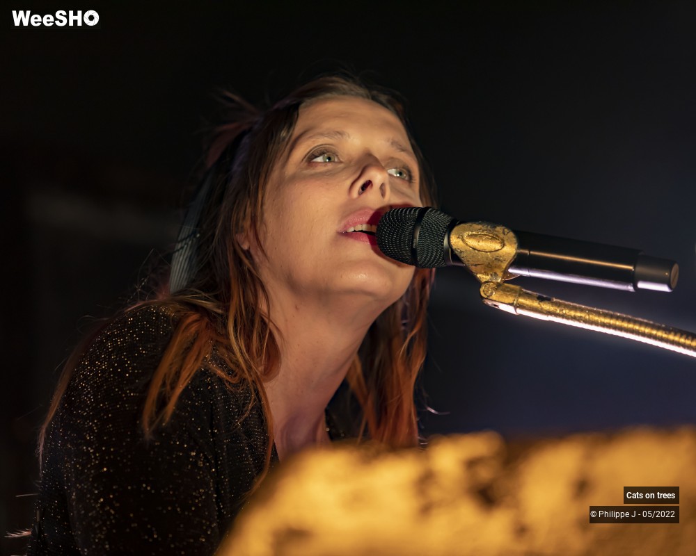 10/33 photos du spectacle Cats on trees