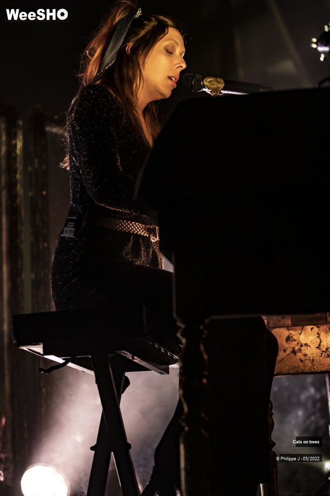 15/33 photos du spectacle Cats on trees